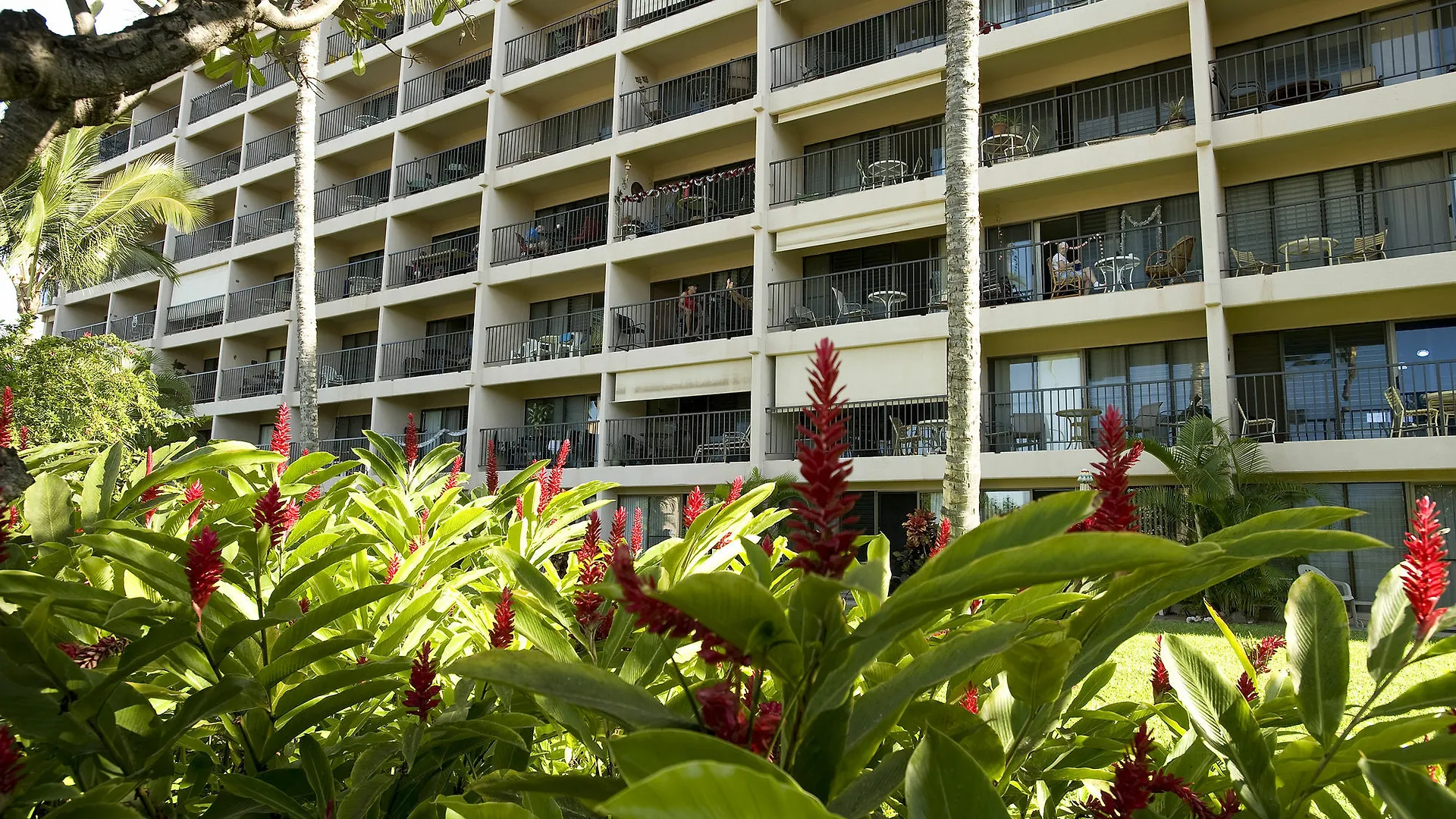 Kihei Akahi D-109 - One Bedroom Condo Waikapu 0*,  USA