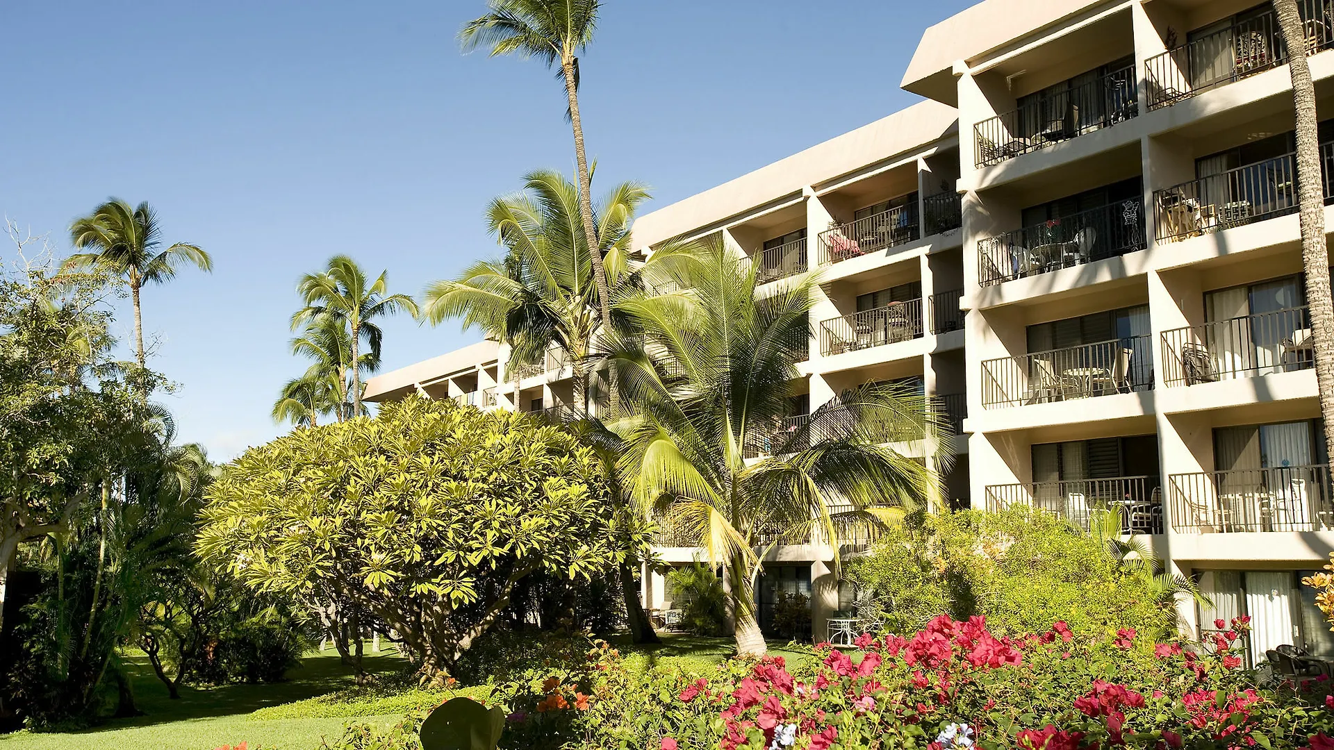 Lägenhet Kihei Akahi D-109 - One Bedroom Condo Waikapu